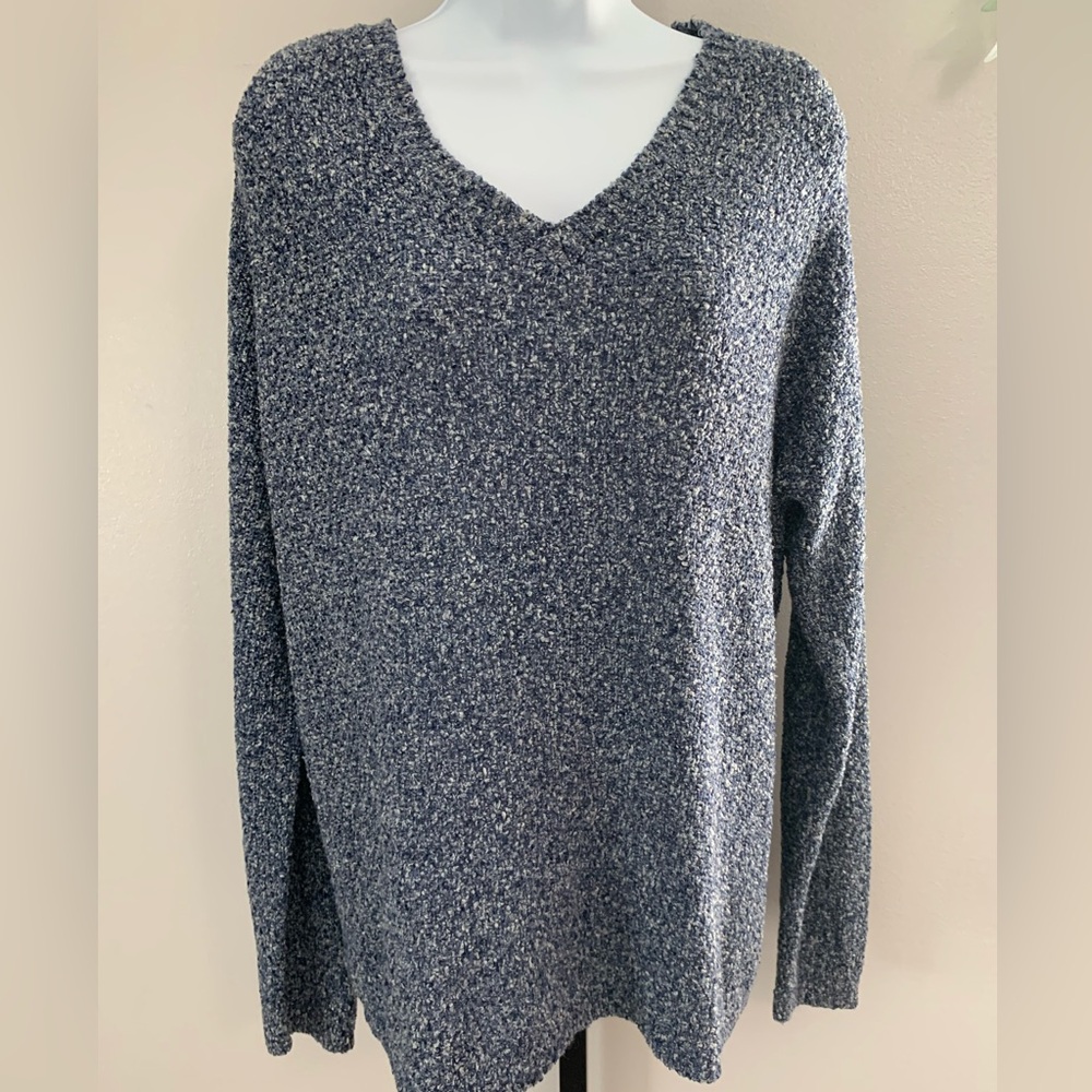Van Heusen Blue V-Neck Sweater